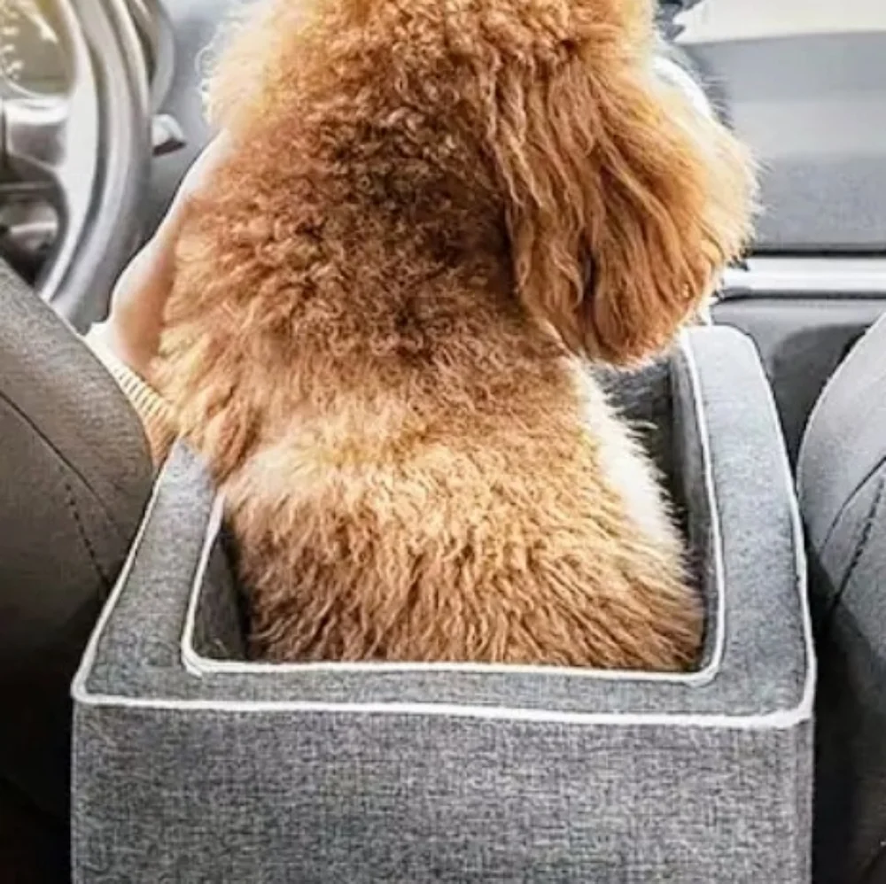 LITTLE FAMILY MEMBER CAR SEAT! NEW WOT